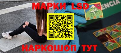шишки Гатчина