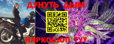 шишки Гатчина