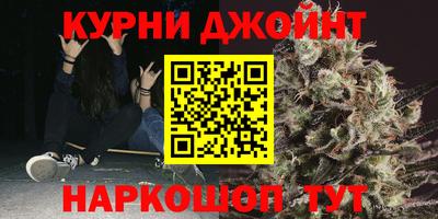 шишки Гатчина