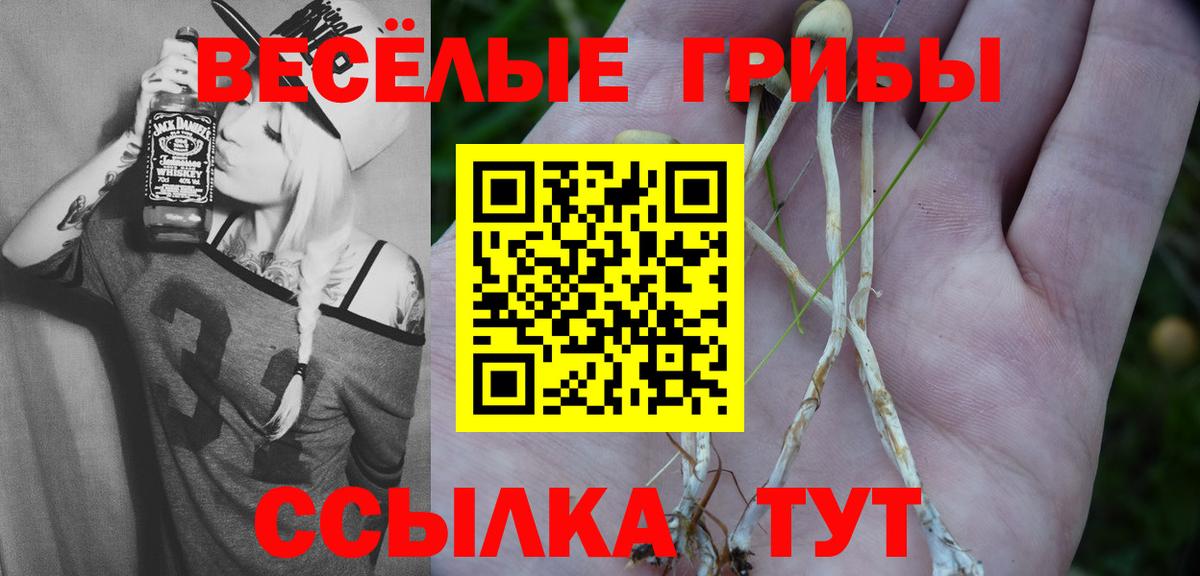 Псилоцибиновые грибы GOLDEN TEACHER  Вход с VPN  купить   Галлюциногенные грибы Psilocybine cubensis  Электрогорск 